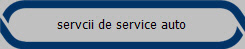 servcii de service auto